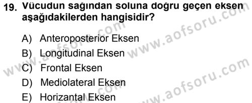 Spor Bilimlerine Giriş Dersi Ara Sınavı Deneme Sınav Soruları 19. Soru