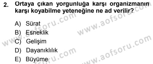 Spor Bilimlerine Giriş Dersi Ara Sınavı Deneme Sınav Soruları 2. Soru