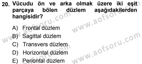 Spor Bilimlerine Giriş Dersi Ara Sınavı Deneme Sınav Soruları 20. Soru
