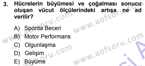 Spor Bilimlerine Giriş Dersi Ara Sınavı Deneme Sınav Soruları 3. Soru