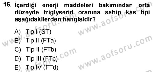Spor Bilimlerine Giriş Dersi Ara Sınavı Deneme Sınav Soruları 16. Soru
