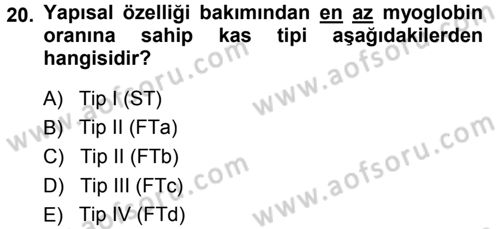 Spor Bilimlerine Giriş Dersi Ara Sınavı Deneme Sınav Soruları 20. Soru