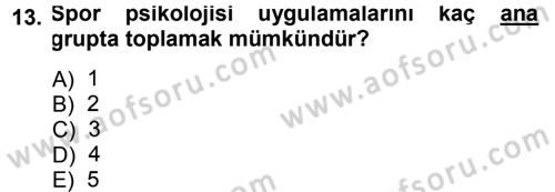 Spor Bilimlerine Giriş Dersi 2014 - 2015 Yılı (Final) Dönem Sonu Sınav Soruları 13. Soru
