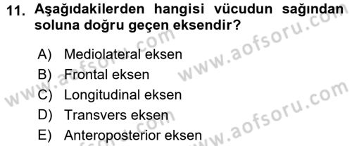 Spor Bilimlerine Giriş Dersi Ara Sınavı Deneme Sınav Soruları 11. Soru