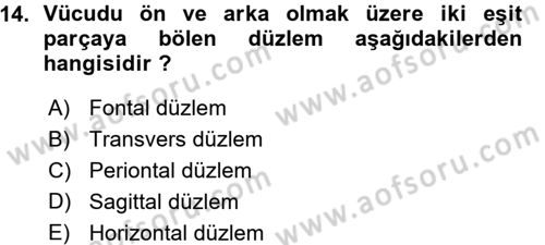 Spor Bilimlerine Giriş Dersi Ara Sınavı Deneme Sınav Soruları 14. Soru