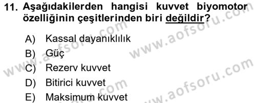 Spor Bilimlerine Giriş Dersi 2015 - 2016 Yılı (Final) Dönem Sonu Sınav Soruları 11. Soru