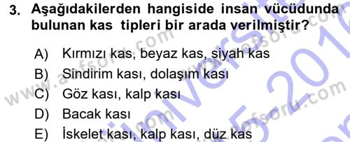 Spor Bilimlerine Giriş Dersi 2015 - 2016 Yılı (Final) Dönem Sonu Sınav Soruları 3. Soru