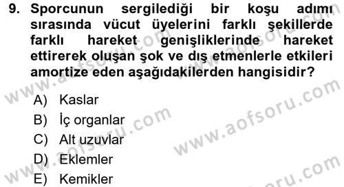 Spor Bilimlerine Giriş Dersi 2015 - 2016 Yılı (Final) Dönem Sonu Sınav Soruları 9. Soru