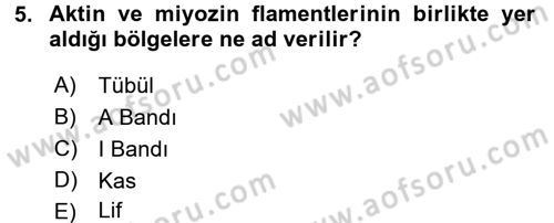Spor Bilimlerine Giriş Dersi 2015 - 2016 Yılı Tek Ders Sınav Soruları 5. Soru