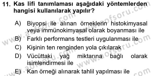 Spor Bilimlerine Giriş Dersi Ara Sınavı Deneme Sınav Soruları 11. Soru