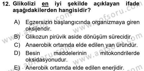 Spor Bilimlerine Giriş Dersi Ara Sınavı Deneme Sınav Soruları 12. Soru