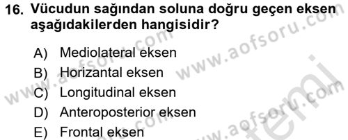 Spor Bilimlerine Giriş Dersi Ara Sınavı Deneme Sınav Soruları 16. Soru