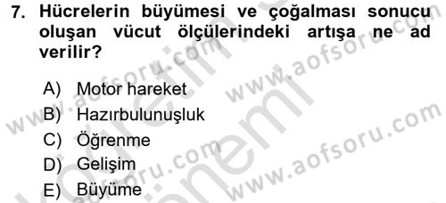 Spor Bilimlerine Giriş Dersi Ara Sınavı Deneme Sınav Soruları 7. Soru