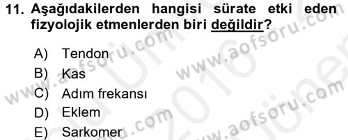 Spor Bilimlerine Giriş Dersi 2016 - 2017 Yılı (Final) Dönem Sonu Sınav Soruları 11. Soru