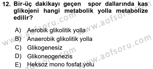 Spor Bilimlerine Giriş Dersi 2016 - 2017 Yılı (Final) Dönem Sonu Sınav Soruları 12. Soru