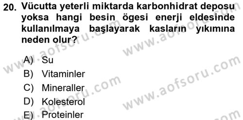 Spor Bilimlerine Giriş Dersi 2017 - 2018 Yılı 3 Ders Sınav Soruları 20. Soru