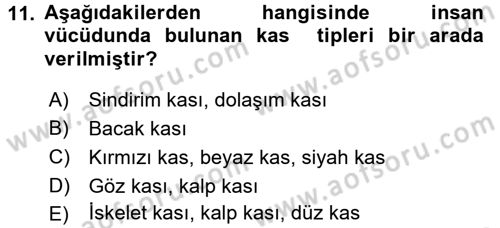Spor Bilimlerine Giriş Dersi Ara Sınavı Deneme Sınav Soruları 11. Soru