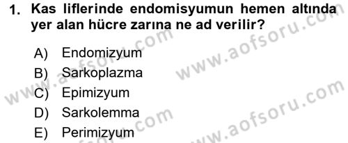 Spor Bilimlerine Giriş Dersi 2017 - 2018 Yılı (Final) Dönem Sonu Sınav Soruları 1. Soru