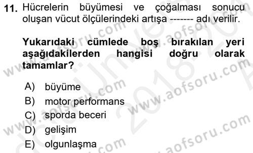 Spor Bilimlerine Giriş Dersi Ara Sınavı Deneme Sınav Soruları 11. Soru
