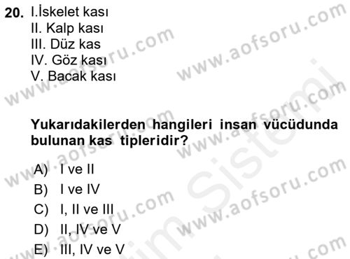 Spor Bilimlerine Giriş Dersi Ara Sınavı Deneme Sınav Soruları 20. Soru