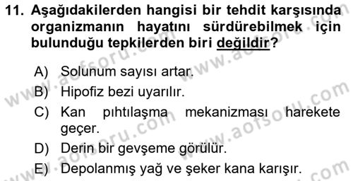 Spor Bilimlerine Giriş Dersi 2018 - 2019 Yılı (Final) Dönem Sonu Sınav Soruları 11. Soru