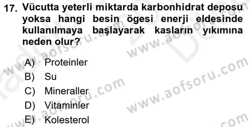 Spor Bilimlerine Giriş Dersi 2018 - 2019 Yılı (Final) Dönem Sonu Sınav Soruları 17. Soru