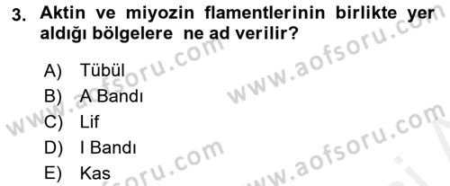 Spor Bilimlerine Giriş Dersi 2018 - 2019 Yılı (Final) Dönem Sonu Sınav Soruları 3. Soru