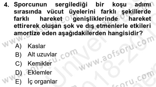 Spor Bilimlerine Giriş Dersi 2018 - 2019 Yılı (Final) Dönem Sonu Sınav Soruları 4. Soru