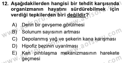 Spor Bilimlerine Giriş Dersi 2019 - 2020 Yılı (Final) Dönem Sonu Sınav Soruları 12. Soru