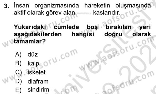 Spor Bilimlerine Giriş Dersi 2019 - 2020 Yılı (Final) Dönem Sonu Sınav Soruları 3. Soru