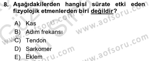 Spor Bilimlerine Giriş Dersi 2019 - 2020 Yılı (Final) Dönem Sonu Sınav Soruları 8. Soru