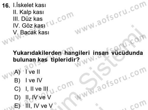 Spor Bilimlerine Giriş Dersi 2021 - 2022 Yılı (Vize) Ara Sınav Soruları 16. Soru