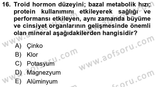 Spor Bilimlerine Giriş Dersi 2021 - 2022 Yılı (Final) Dönem Sonu Sınav Soruları 16. Soru