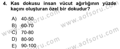 Spor Bilimlerine Giriş Dersi 2021 - 2022 Yılı (Final) Dönem Sonu Sınavı 4. Soru