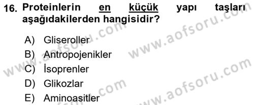 Spor Bilimlerine Giriş Dersi 2021 - 2022 Yılı Yaz Okulu Sınav Soruları 16. Soru
