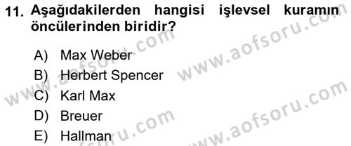 Spor Bilimlerine Giriş Dersi 2024 - 2025 Yılı (Vize) Ara Sınavı 11. Soru