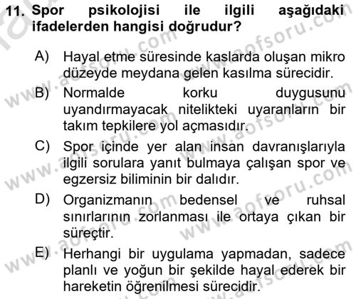Spor Bilimlerine Giriş Dersi 2024 - 2025 Yılı (Final) Dönem Sonu Sınav Soruları 11. Soru
