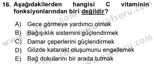 Spor Bilimlerine Giriş Dersi 2024 - 2025 Yılı (Final) Dönem Sonu Sınav Soruları 16. Soru