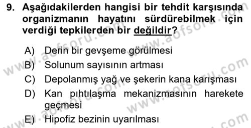 Spor Bilimlerine Giriş Dersi 2024 - 2025 Yılı (Final) Dönem Sonu Sınav Soruları 9. Soru