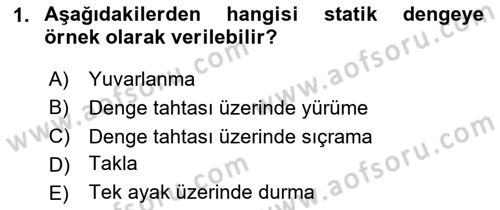 Spor Bilimlerine Giriş Dersi 2024 - 2025 Yılı Yaz Okulu Sınav Soruları 1. Soru