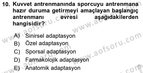 Spor Bilimlerine Giriş Dersi 2024 - 2025 Yılı Yaz Okulu Sınav Soruları 10. Soru