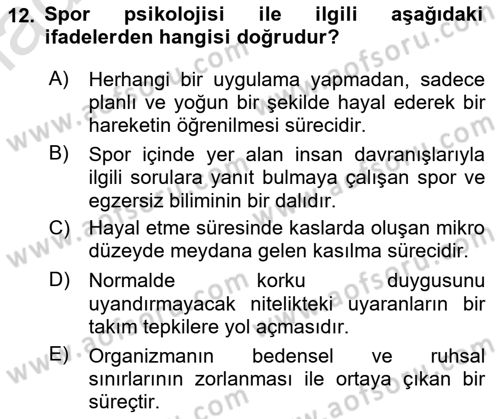 Spor Bilimlerine Giriş Dersi 2024 - 2025 Yılı Yaz Okulu Sınav Soruları 12. Soru