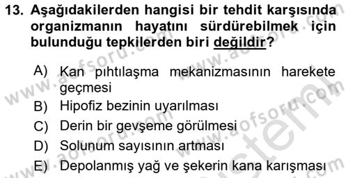 Spor Bilimlerine Giriş Dersi 2024 - 2025 Yılı Yaz Okulu Sınav Soruları 13. Soru