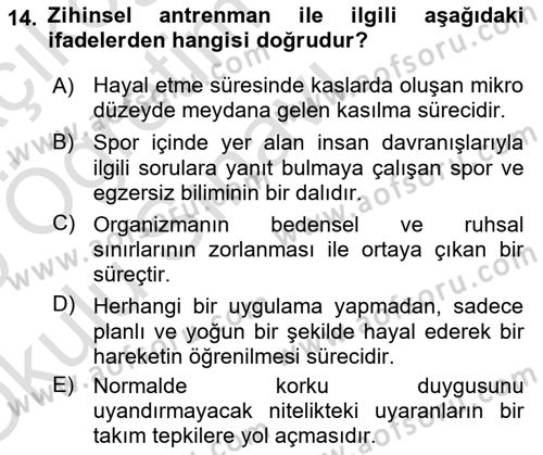 Spor Bilimlerine Giriş Dersi 2024 - 2025 Yılı Yaz Okulu Sınav Soruları 14. Soru