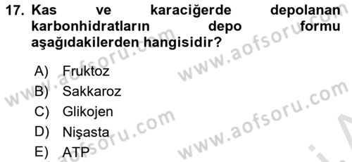 Spor Bilimlerine Giriş Dersi 2024 - 2025 Yılı Yaz Okulu Sınav Soruları 17. Soru