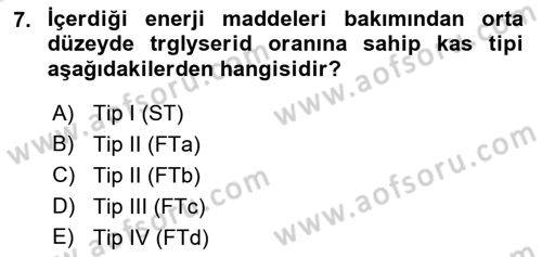 Spor Bilimlerine Giriş Dersi 2024 - 2025 Yılı Yaz Okulu Sınav Soruları 7. Soru