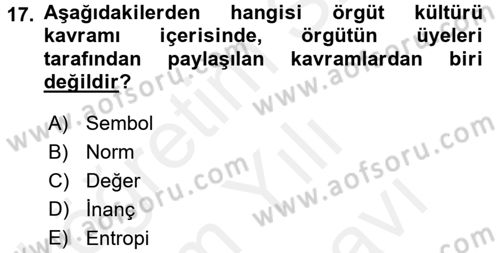 Spor Yönetimi Dersi 2017 - 2018 Yılı (Vize) Ara Sınav Soruları 17. Soru