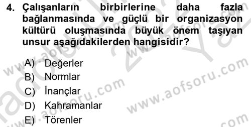 Spor Yönetimi Dersi 2022 - 2023 Yılı Yaz Okulu Sınav Soruları 4. Soru