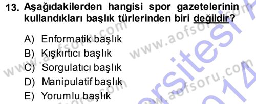 Spor ve Medya İlişkisi Dersi 2013 - 2014 Yılı (Vize) Ara Sınav Soruları 13. Soru