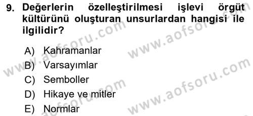 Sporda Liderlik Dersi Ara Sınavı Deneme Sınav Soruları 9. Soru